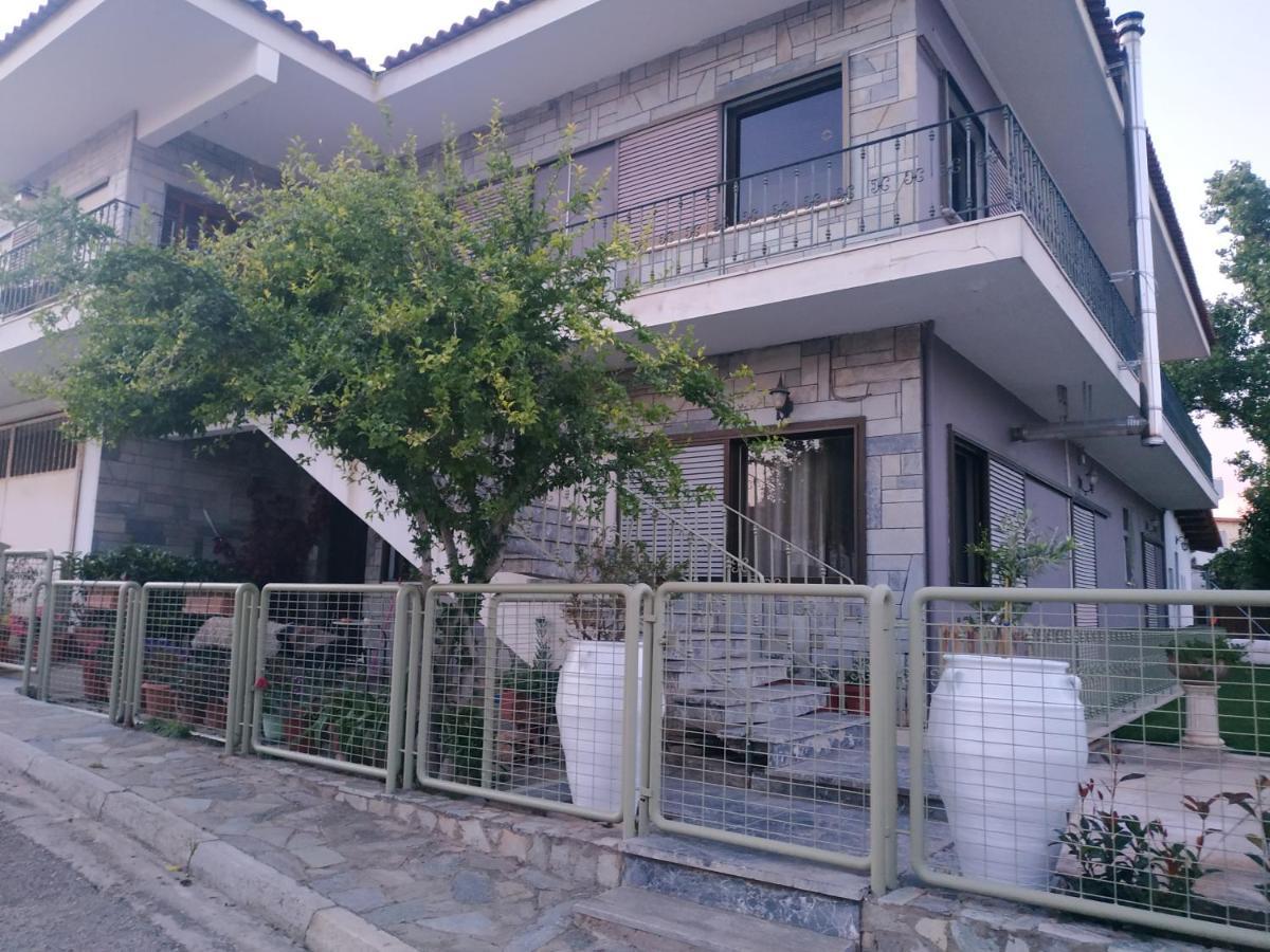Apartment Garden's House