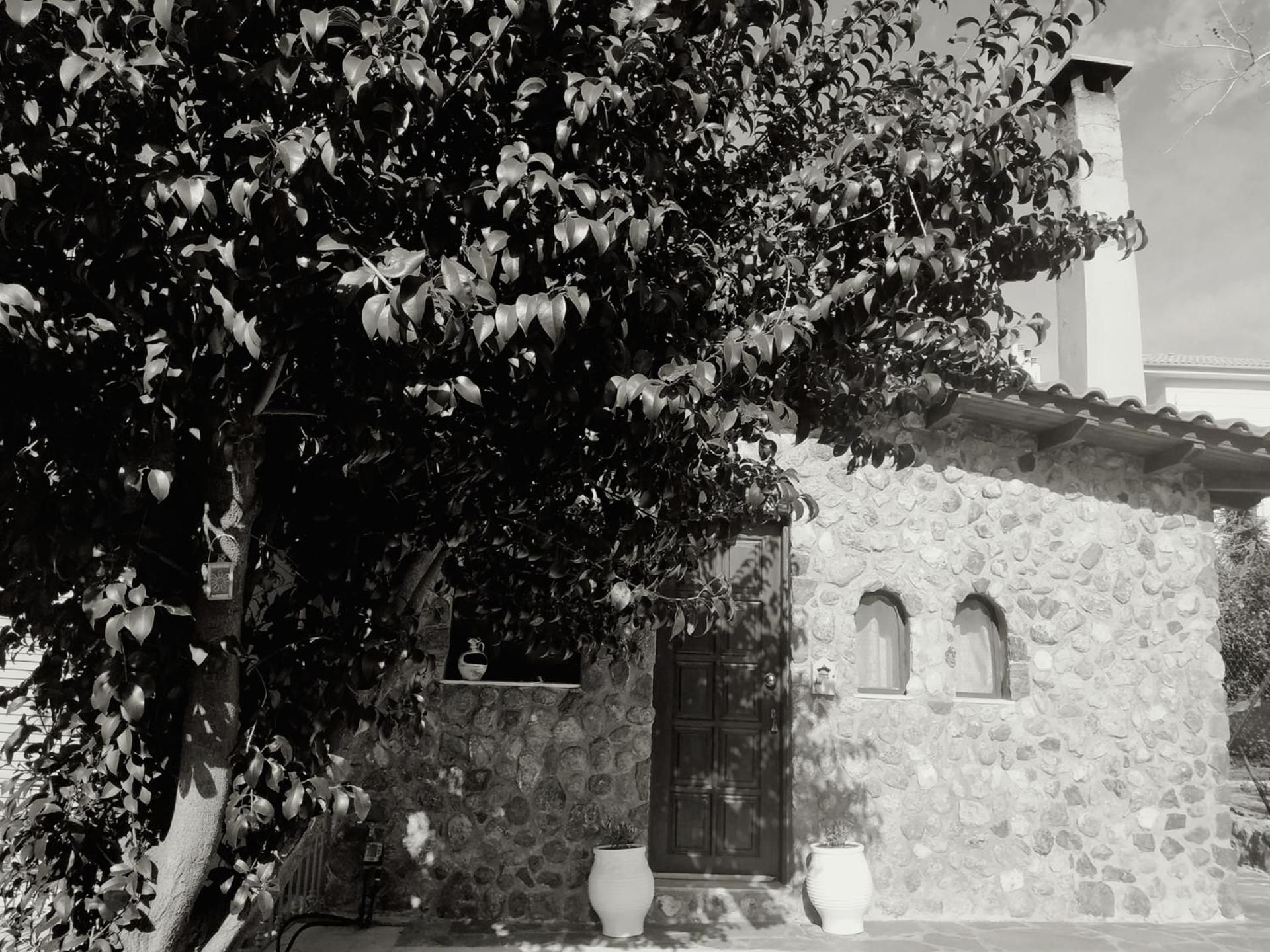 Garden's House *
