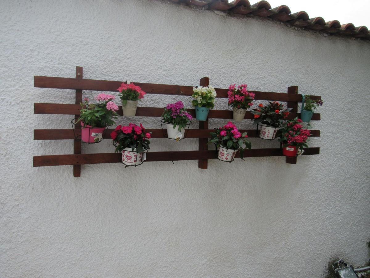 Garden's House Apartment Spáta