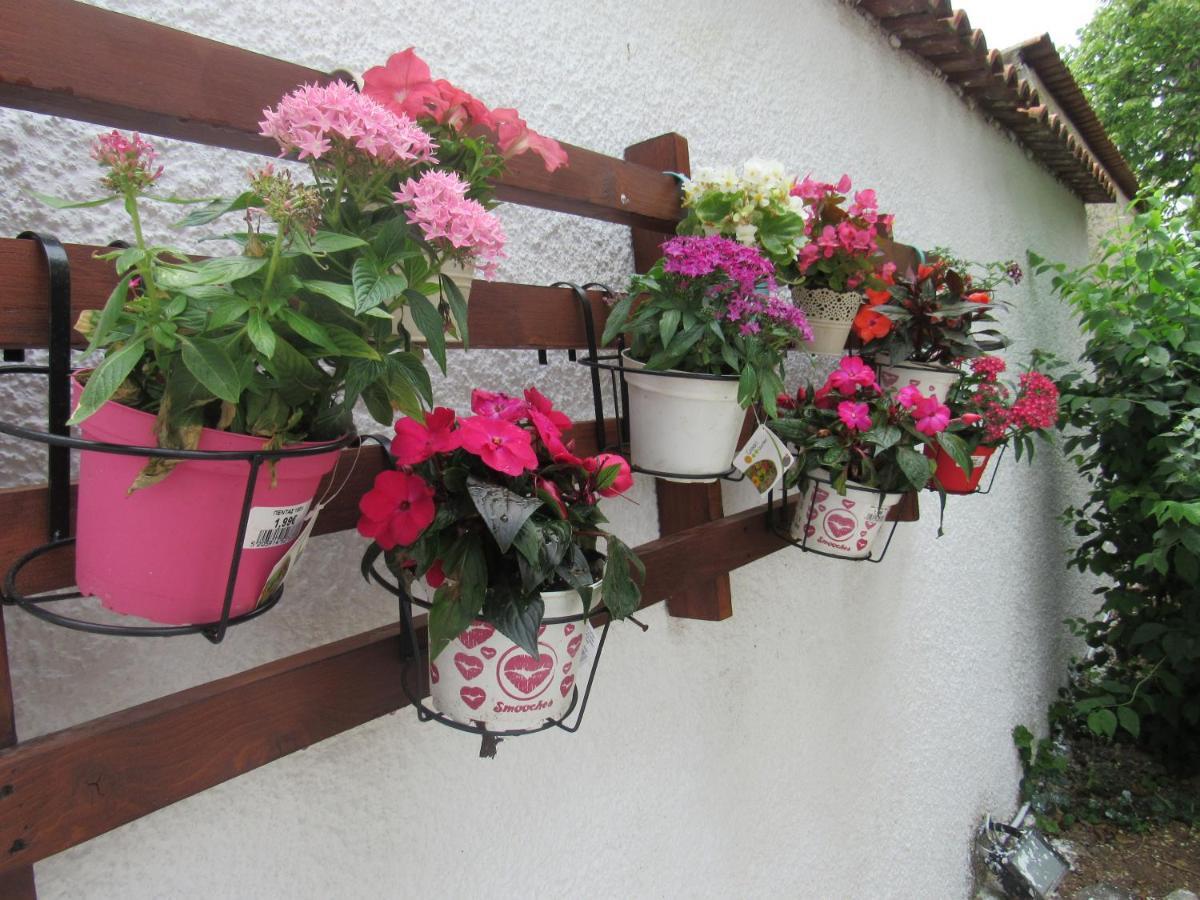 Garden's House * Spáta